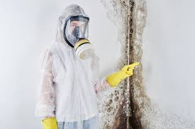 Best Emergency Mold Remediation in Minier, IL